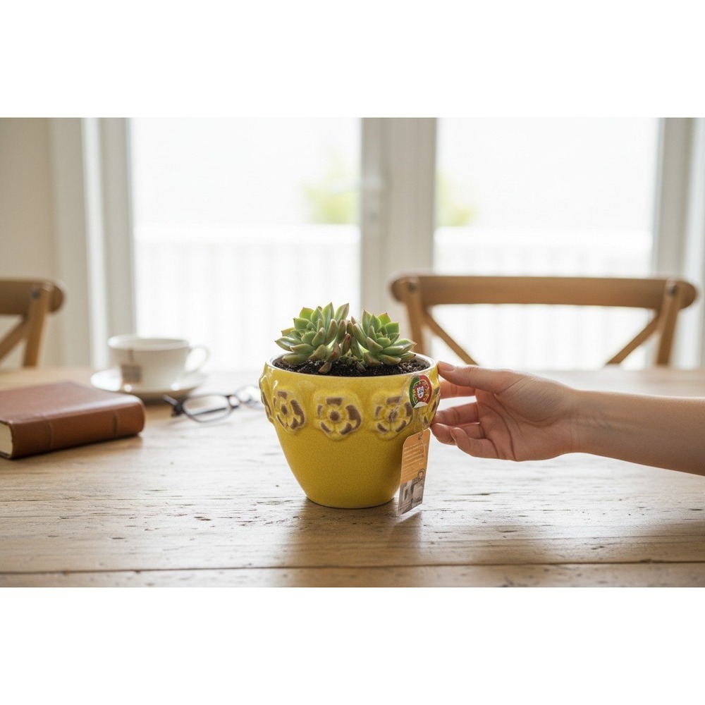 Gardeners Eden Flower Pot Unisex OS Yellow Brand New Portugal Ceramic Planter
